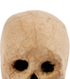 Papier mache -kallo