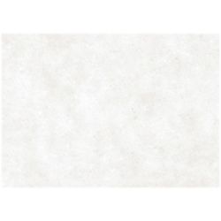 Voimapaperi