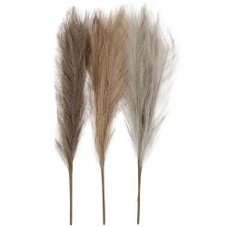 Pampas ruoho