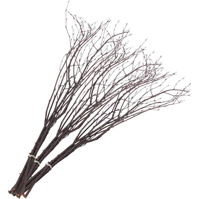 Pääsiäisoksat, Pit. 50-60 cm, 2x10736648 kpl/ 1 pkt