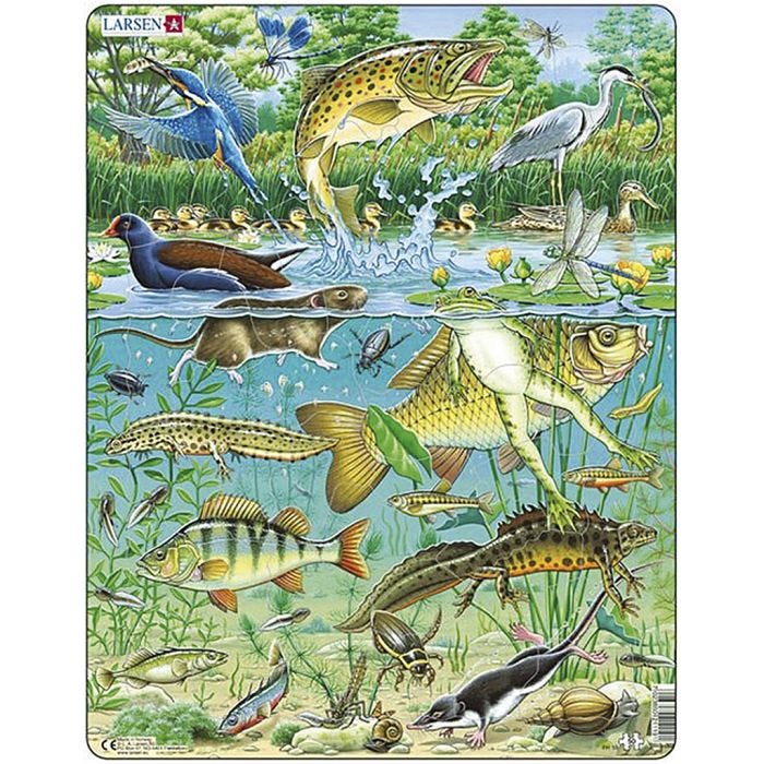 Palapeli, koko 28,5x36,5 cm, 50 kappaletta, 1 kpl