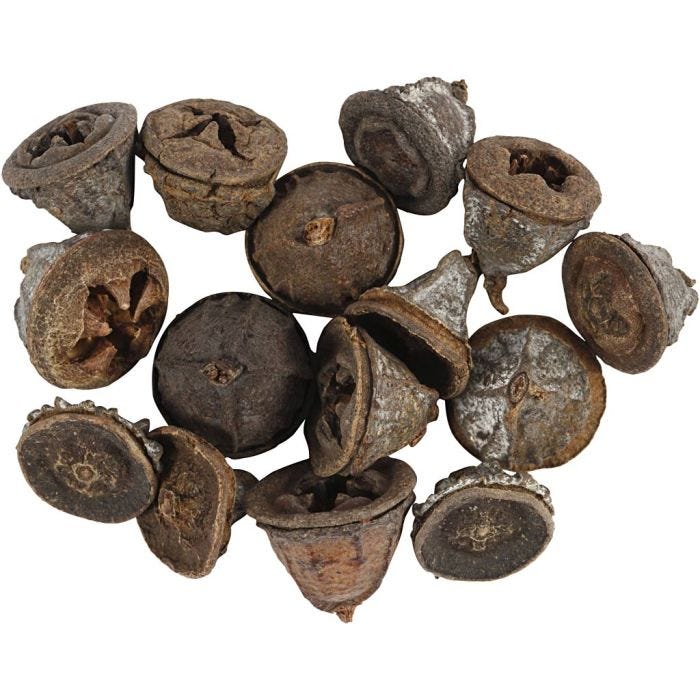 Eukalyptuksen kävyt, 25 g/ 1 pkt