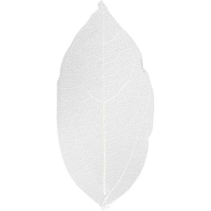 Kuivatut lehdet, Pit. 6-8 cm, valkoinen, 20 kpl/ 1 pkt