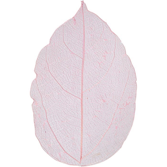 Kuivatut lehdet, Pit. 6-8 cm, vaaleanpunainen, 20 kpl/ 1 pkt