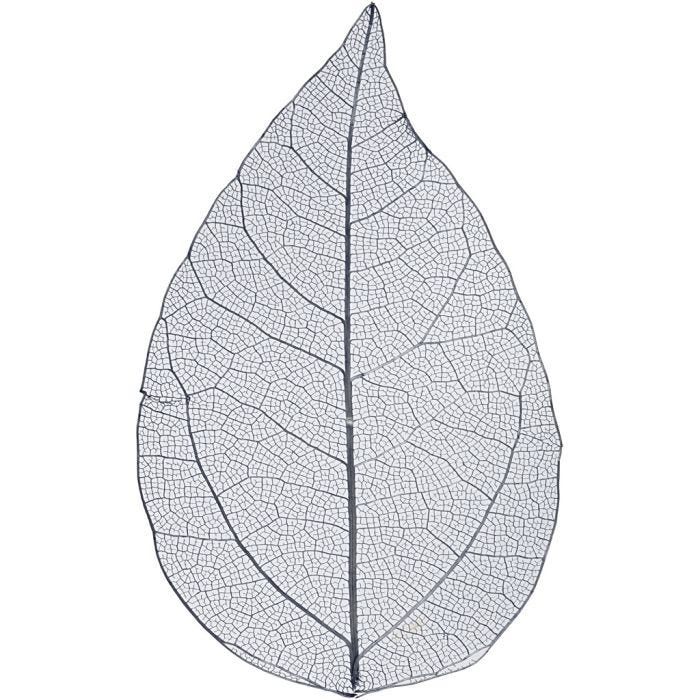 Kuivatut lehdet, Pit. 6-8 cm, sininen, 20 kpl/ 1 pkt