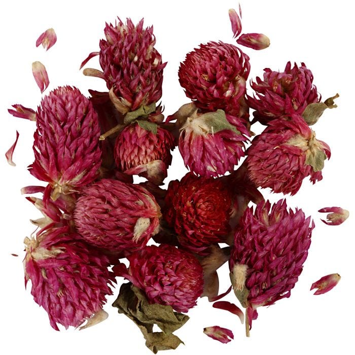 Kuivatut Kukat, Puna-apila, Pit. 1,5-2,5 cm, halk. 1 - 1,5 cm, 15 g, violetti, 1 pkk/ 1 pkt