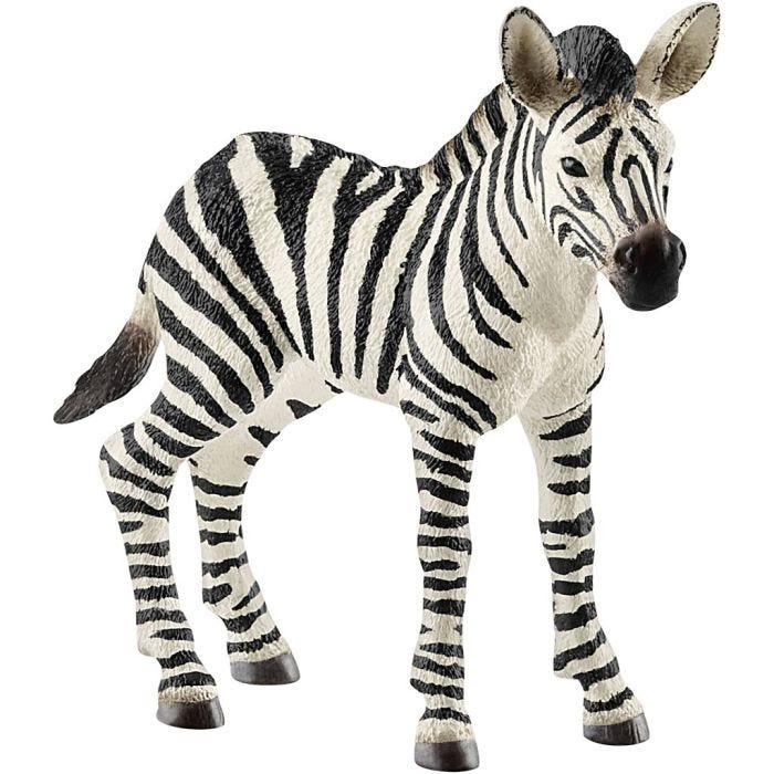 Schleich Villieläimet, Seepran varsa, koko 7x7,6x2,2 cm, 1 kpl