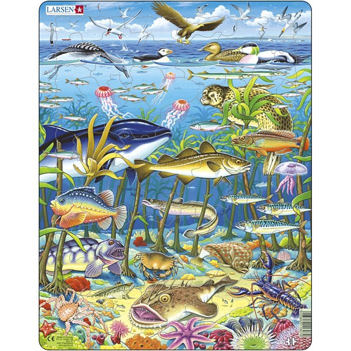 Palapeli, koko 28,5x36,5 cm, 60 kappaletta, 1 kpl