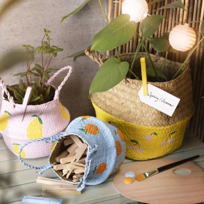 Punottu meriheinäkori