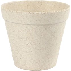 Kukkaruukku